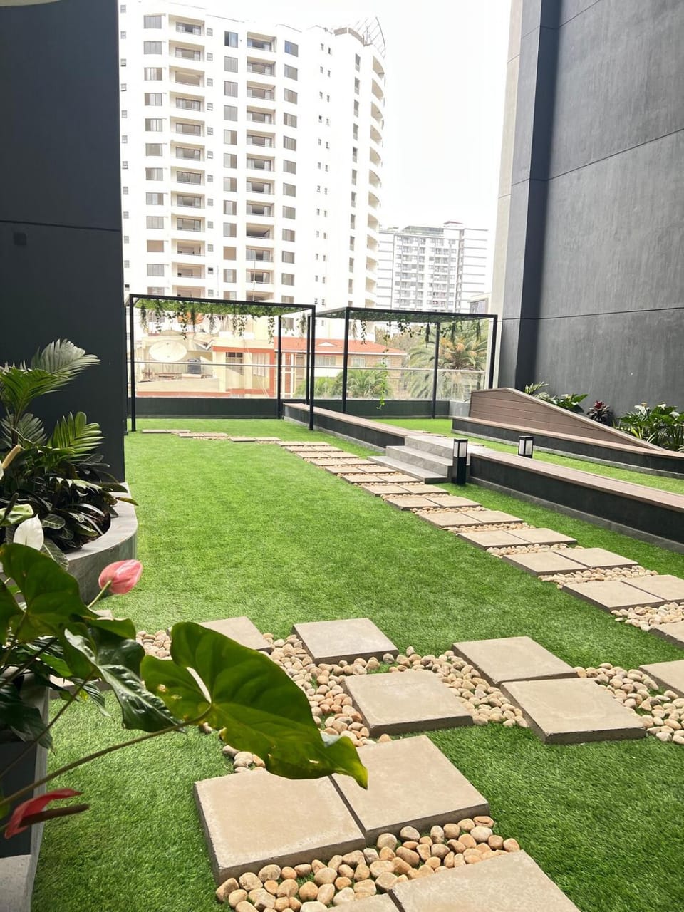 Garden view