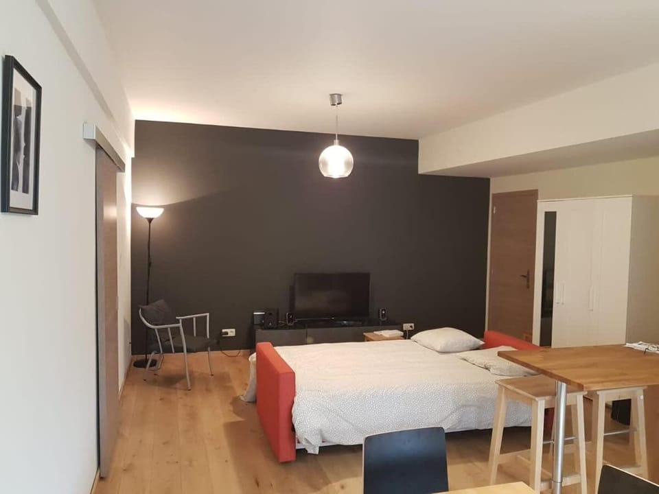 Fully equipped two bedroom apartment Schuman area Apartment in Brussels