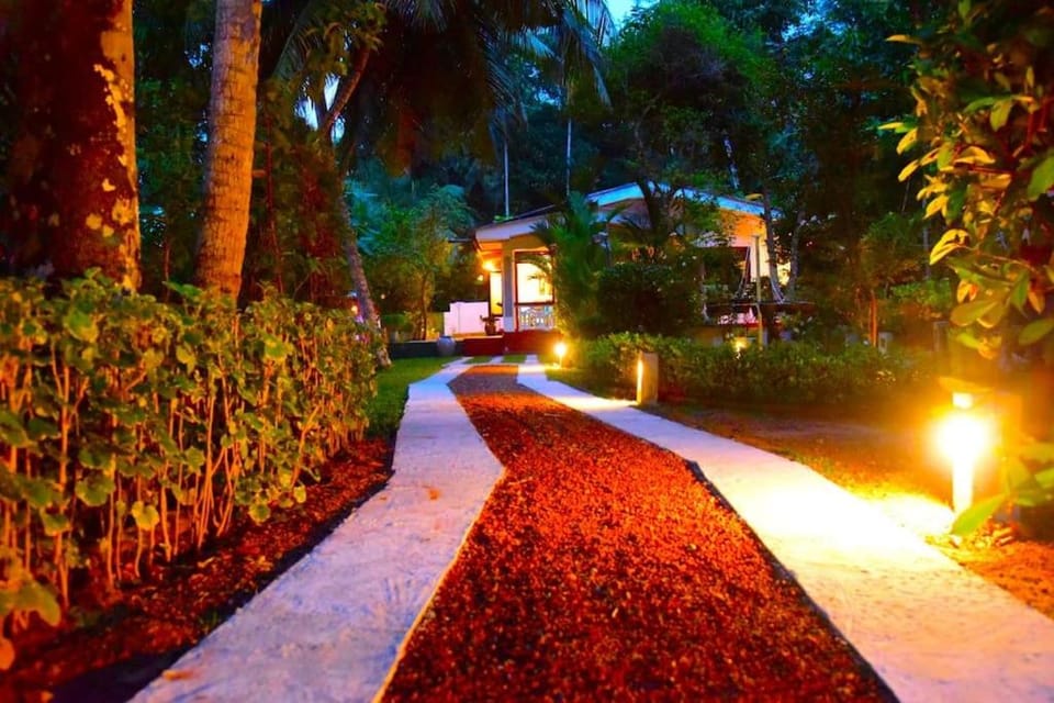 Night, Natural landscape, Garden, Garden view