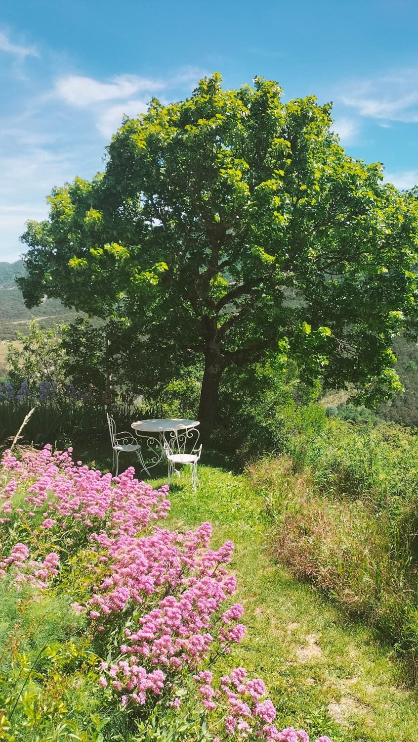 La Ferme de la Condamine Bed and Breakfast in Provence-Alpes-Côte d'Azur