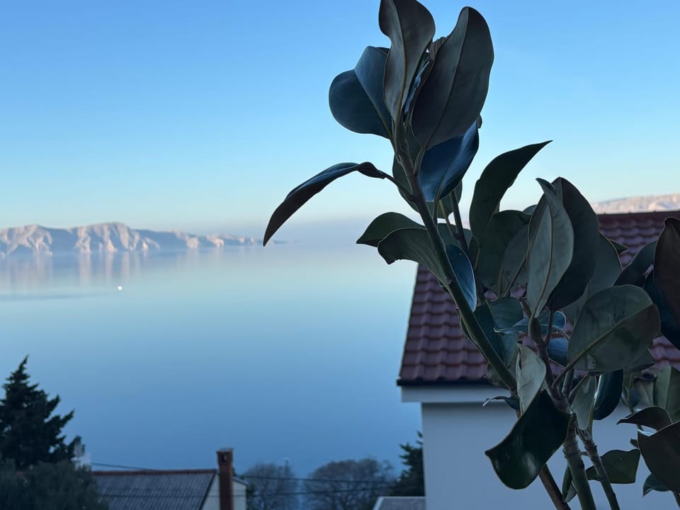 Natural landscape, Sea view
