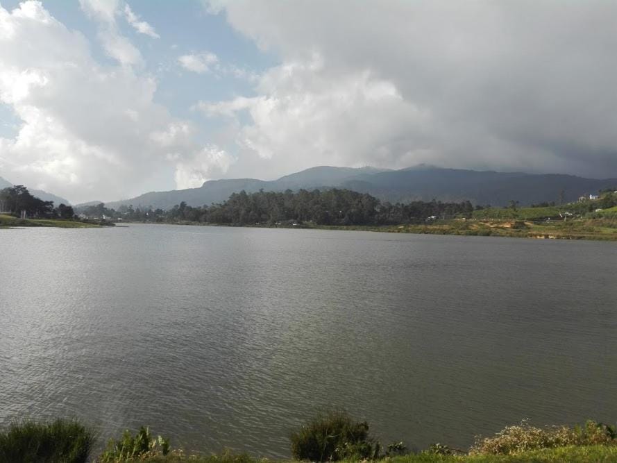 Natural landscape