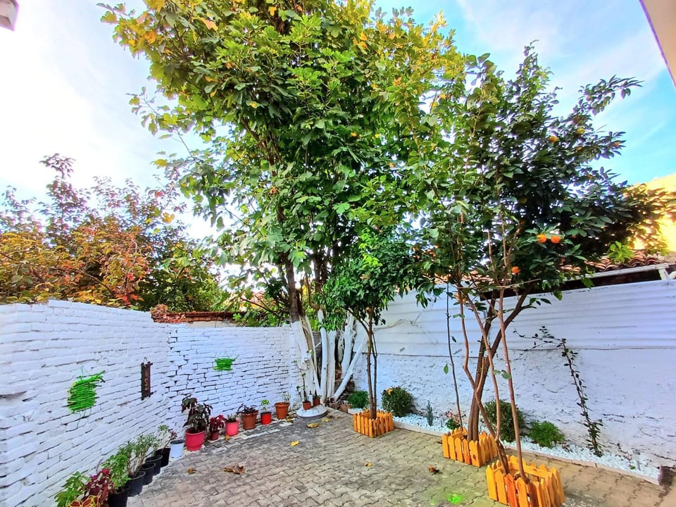 Spring, Day, Garden, Garden view