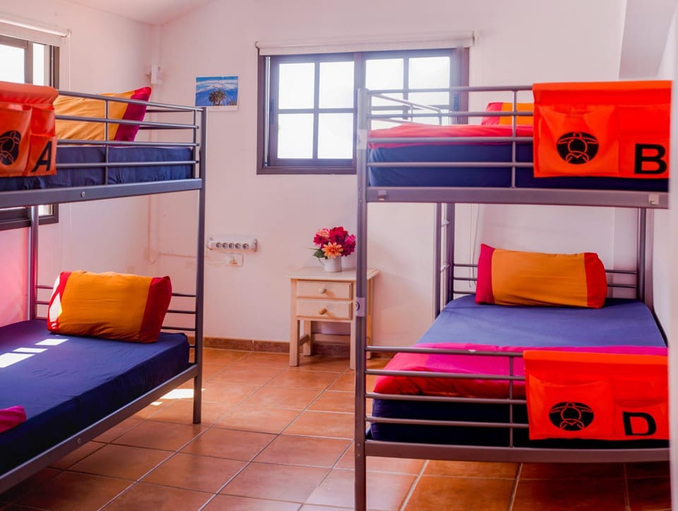 Photo of the whole room, Bedroom, bunk bed