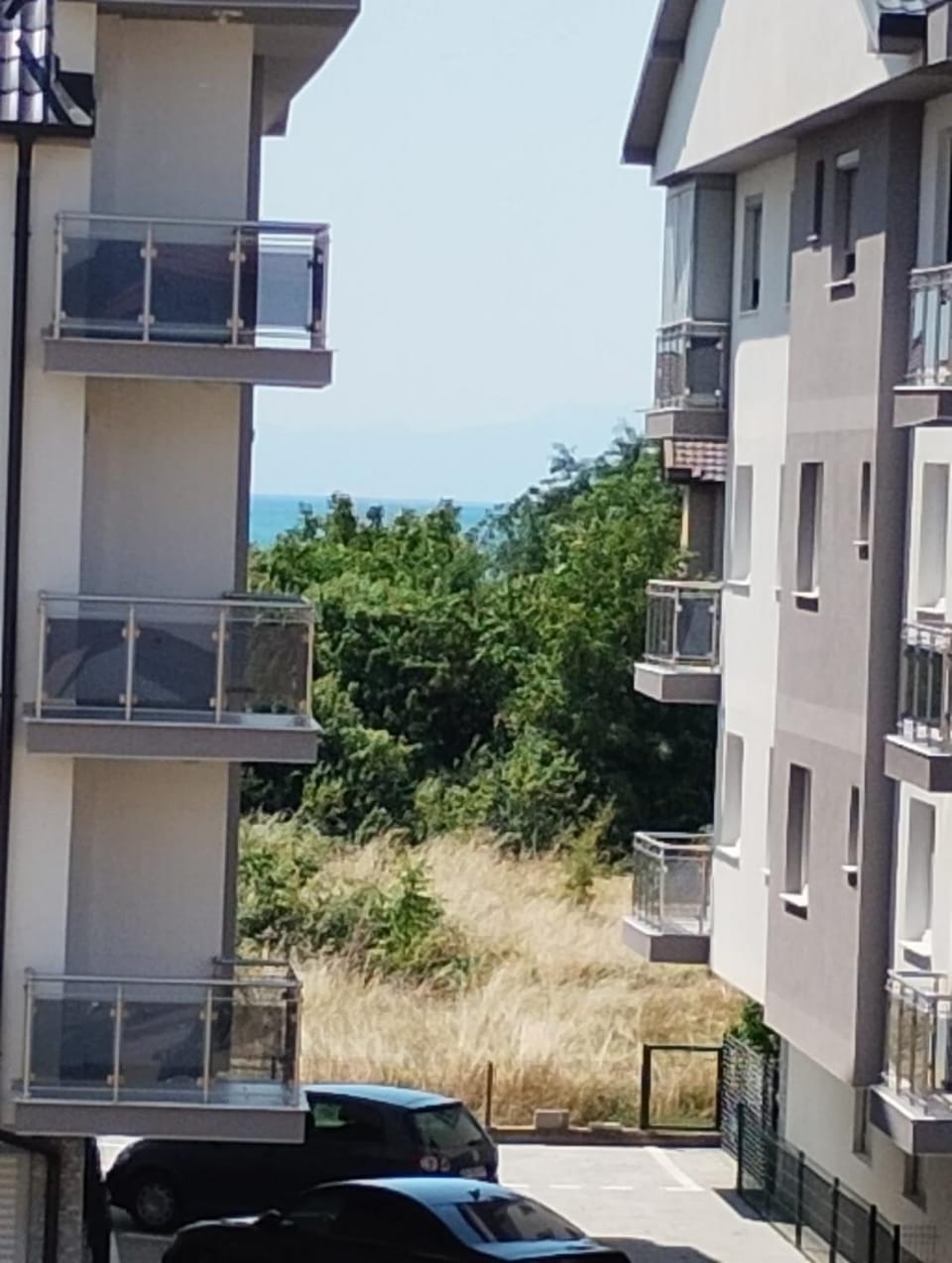 Lake view