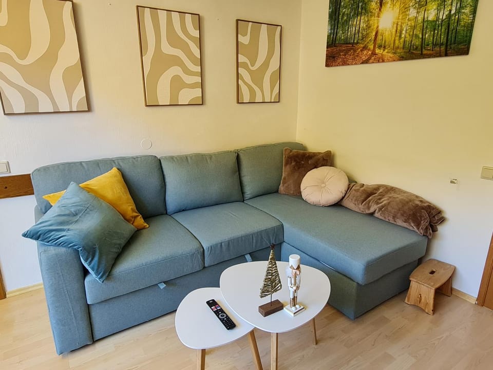 Communal lounge/ TV room, Living room