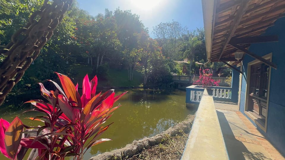 Lake view
