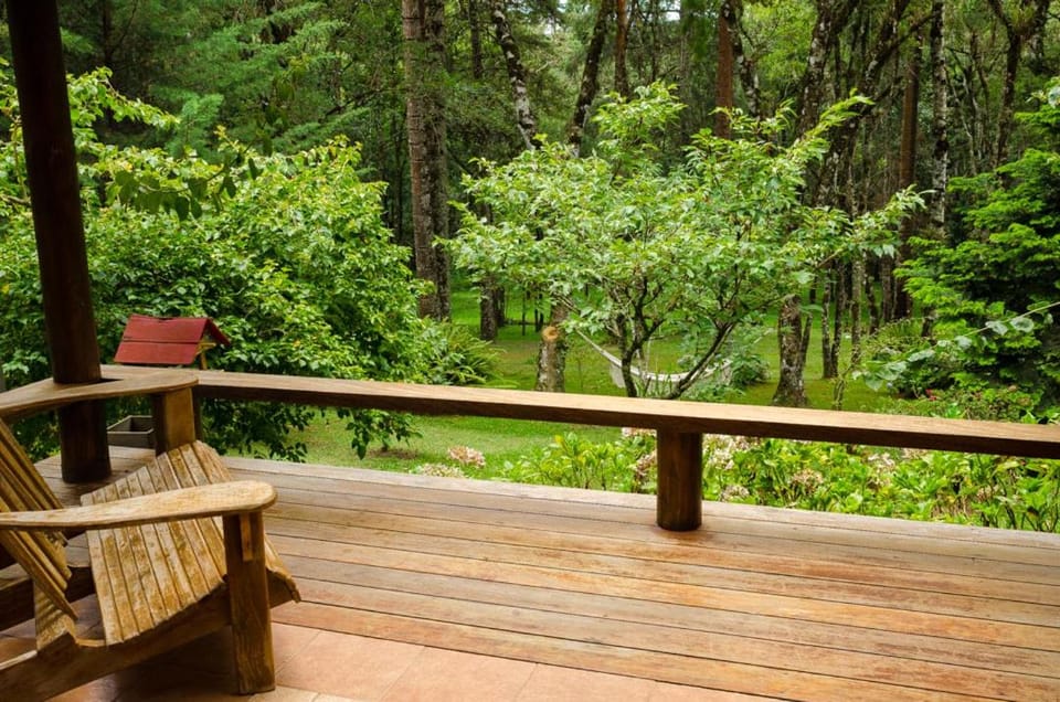 Balcony/Terrace, Garden view