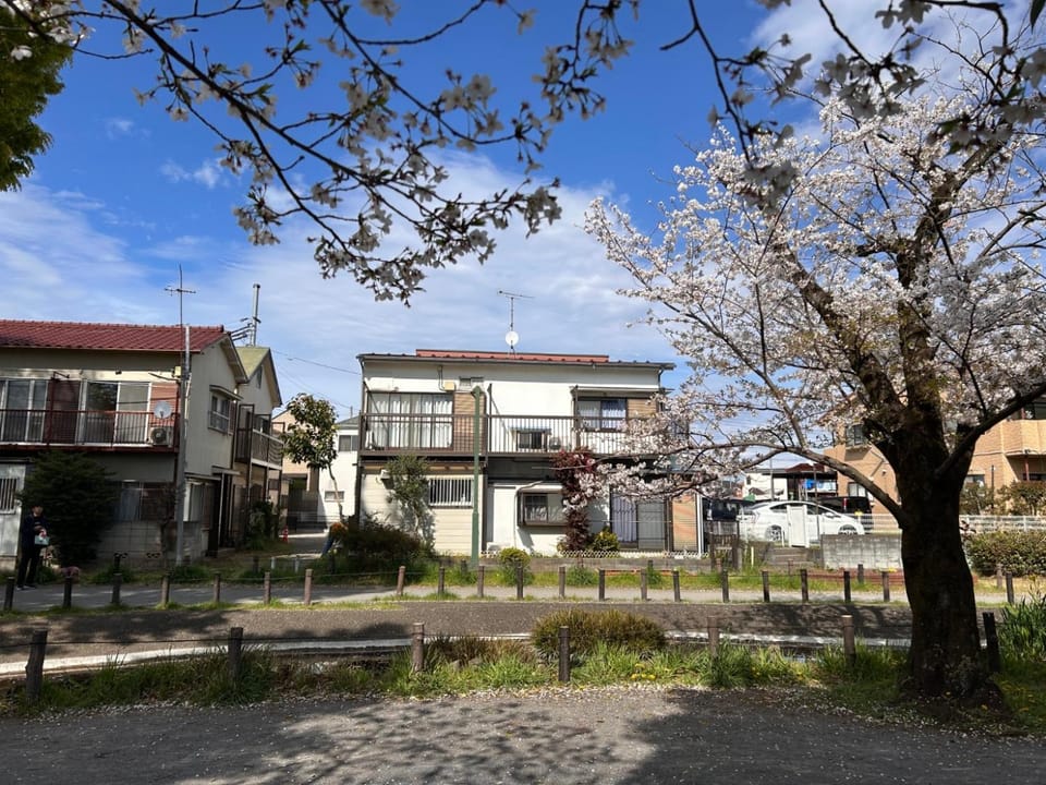 Property building, Spring, Day, Neighbourhood