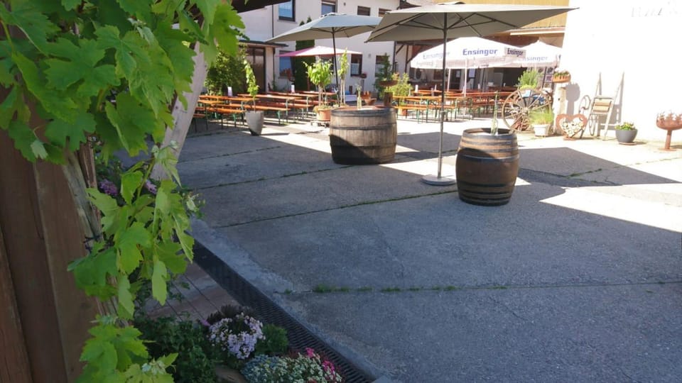 Weingut Will & Würz Riesling Apartment in Baden-Württemberg