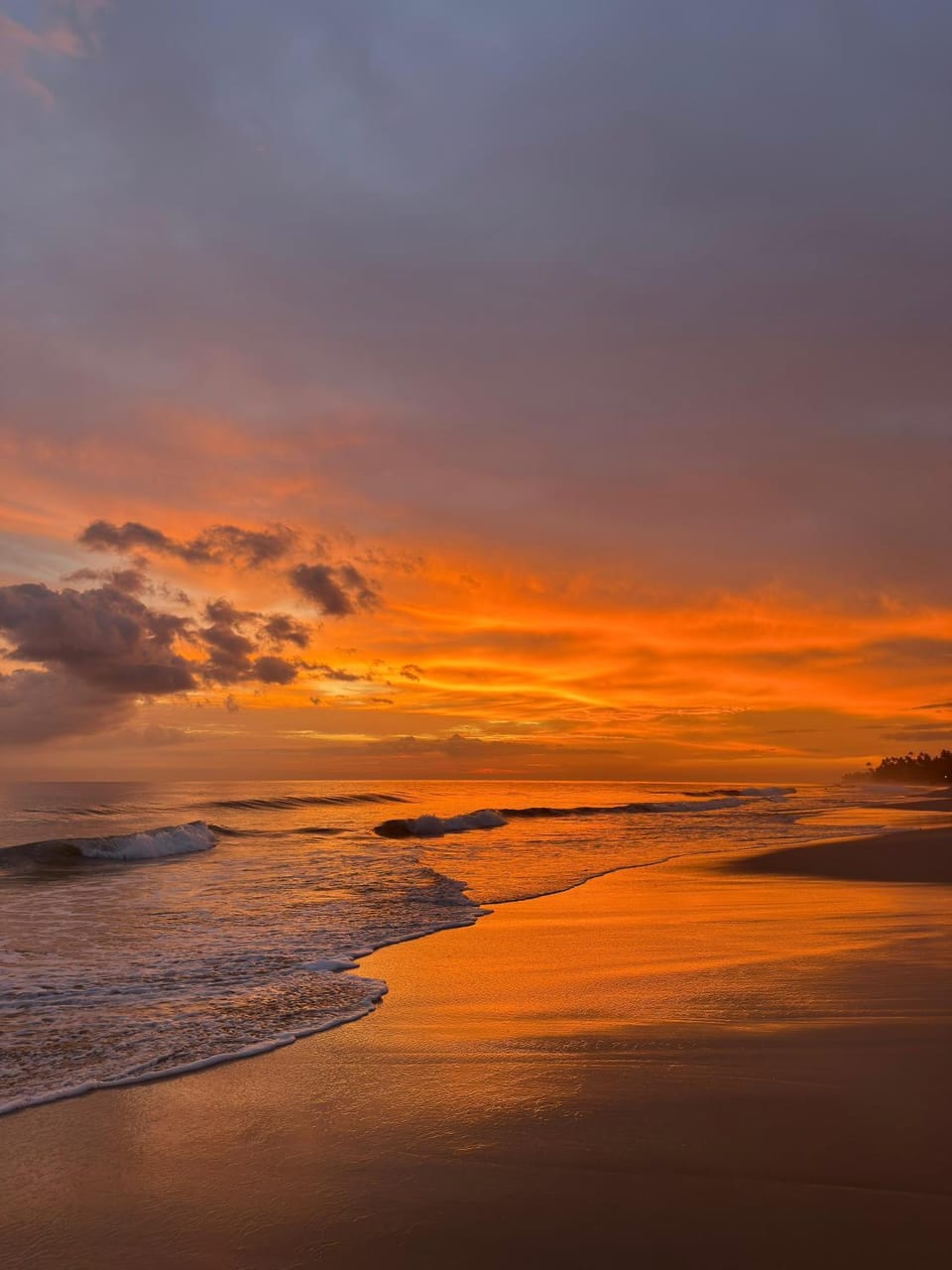 Nature Room - Habaraduwa Apartment in Southern Province