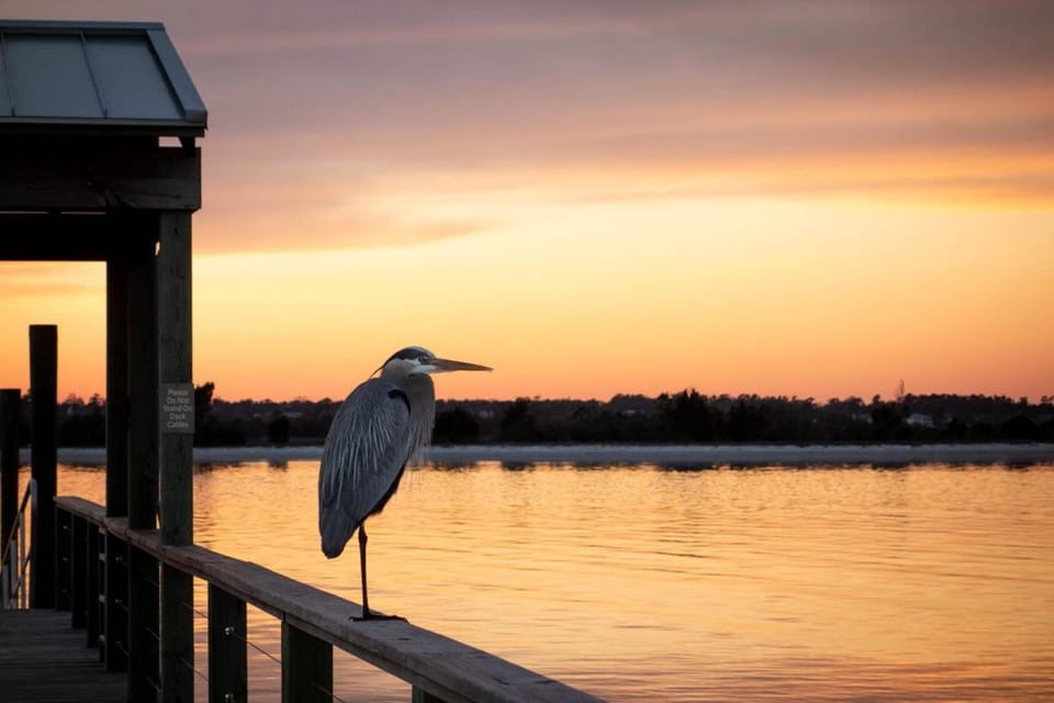 Our Happy Place by Bryant Real Estate House in Wrightsville Beach