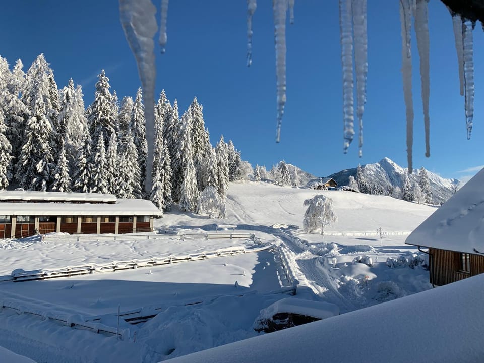 Winter, Mountain view