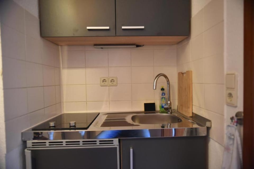 Ferienwohnung Dresden Elbe Apartment in Dresden