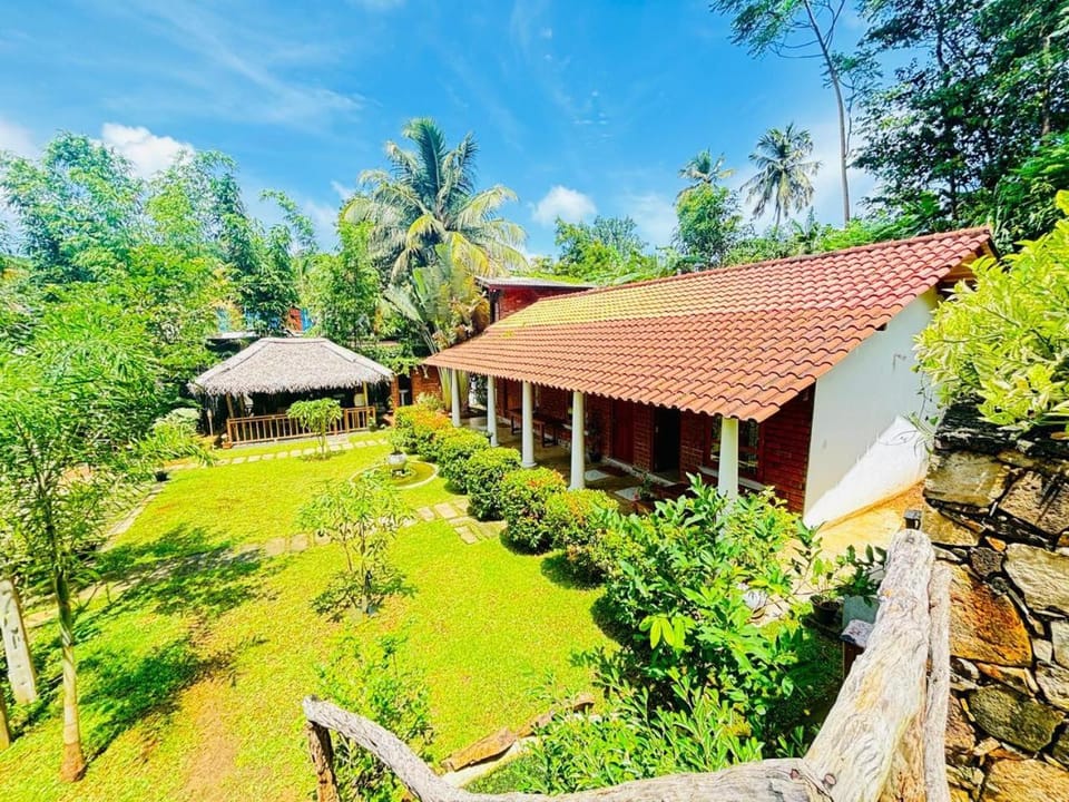 Property building, Garden, Garden view