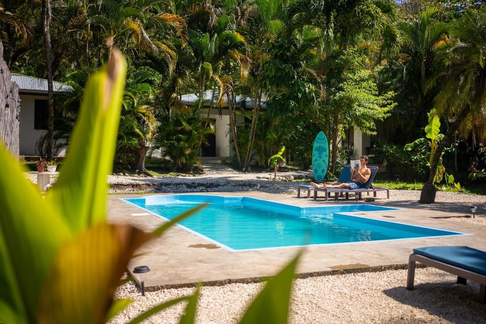 Spring, Day, Garden, Garden view, Pool view, Swimming pool, sunbed