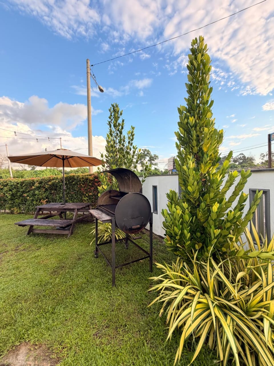 Garden view
