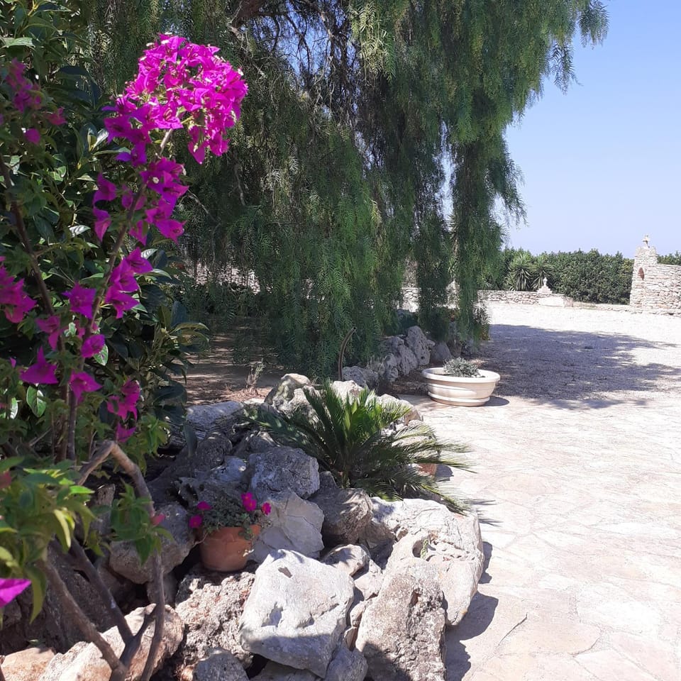 Garden, Garden view