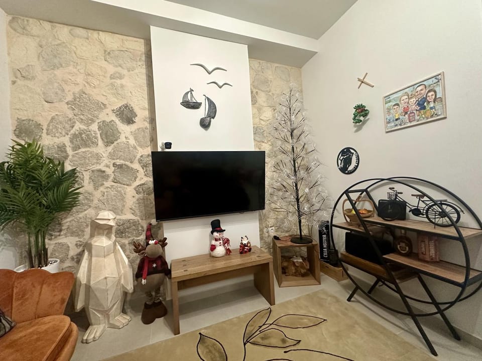 TV and multimedia