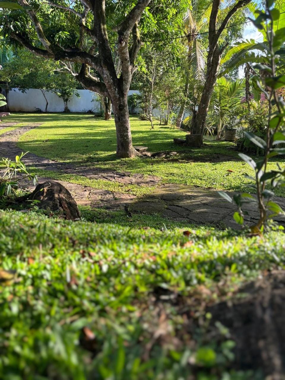Natural landscape, Garden, Garden view