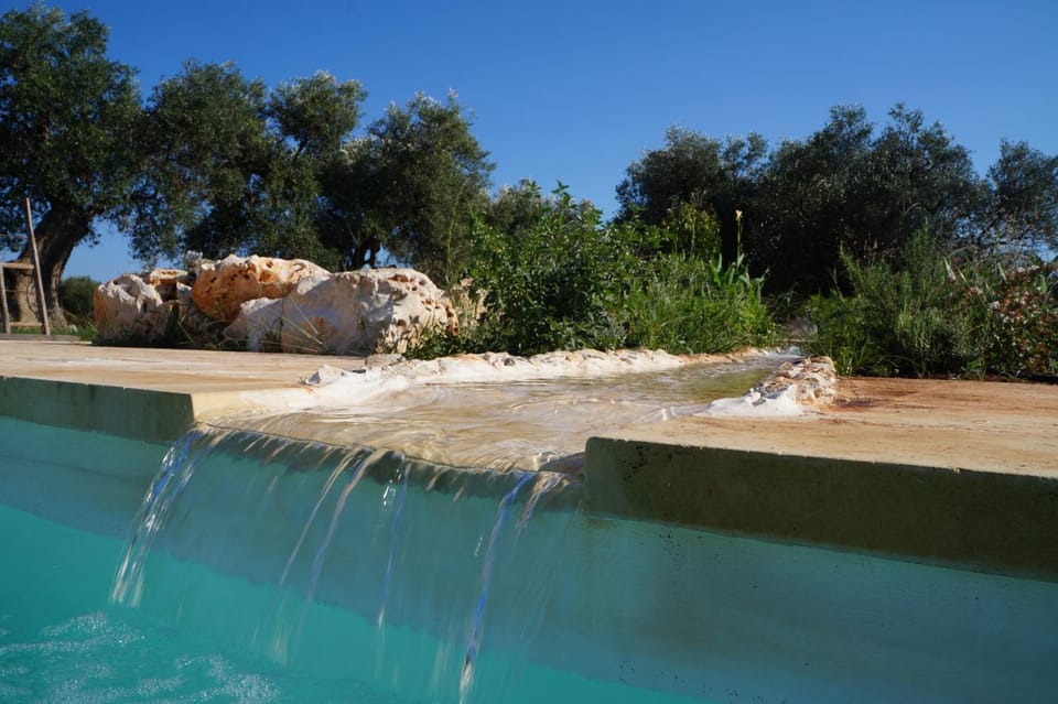 Swimming pool, Swimming pool