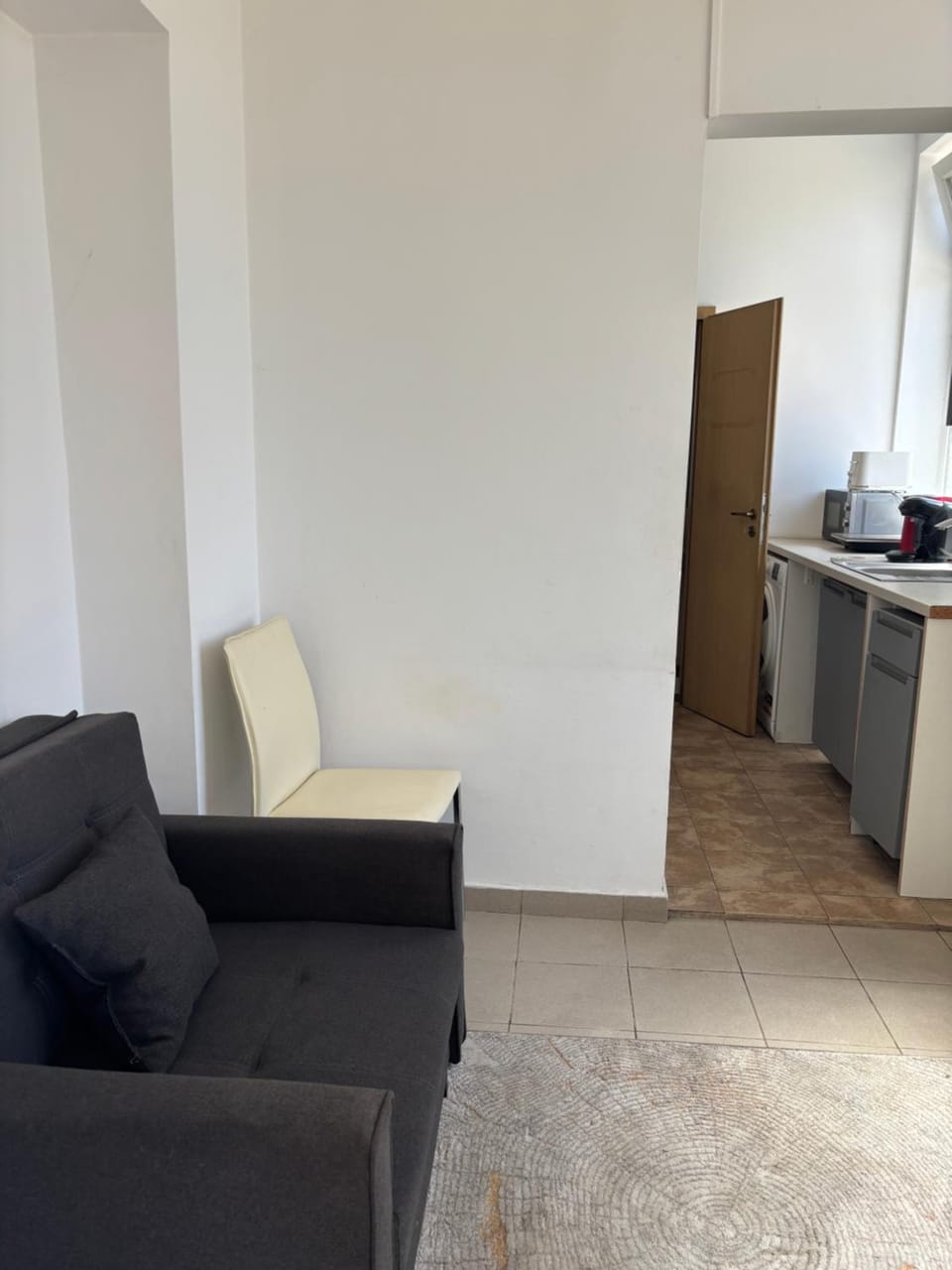 Twin-Tam House Apartment in Timisoara