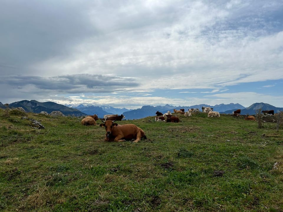 Natural landscape, Mountain view