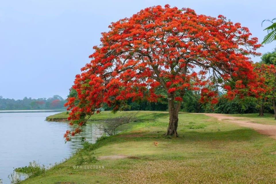 Luffy Home căn hộ xinh Ecopark có bồn tắm và vườn cây ngắm Hoàng hôn Apartment in Laos
