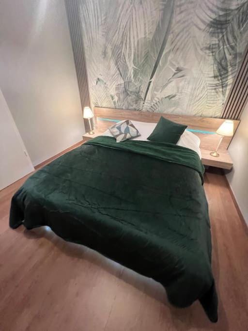 Esprit Palace, coeur de Mulhouse Apartment in Mulhouse