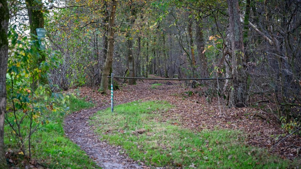 Natural landscape