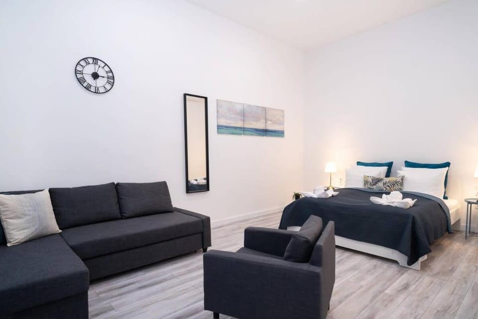 Central large airconditioned apartment Apartment in Budapest