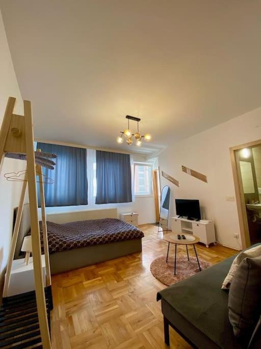 Bed, Living room, Photo of the whole room, Seating area, Bedroom