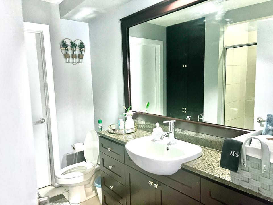 Beautiful Uptown Adventure Apartment Apartment in Charlotte