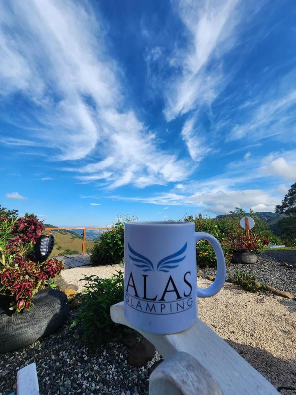Garden view