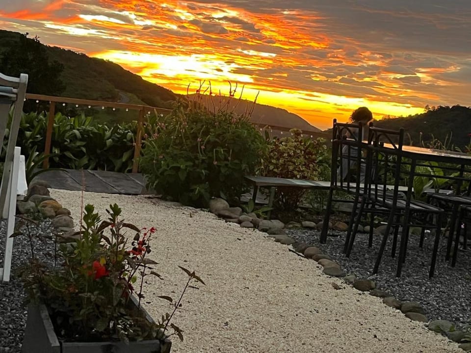 Garden view