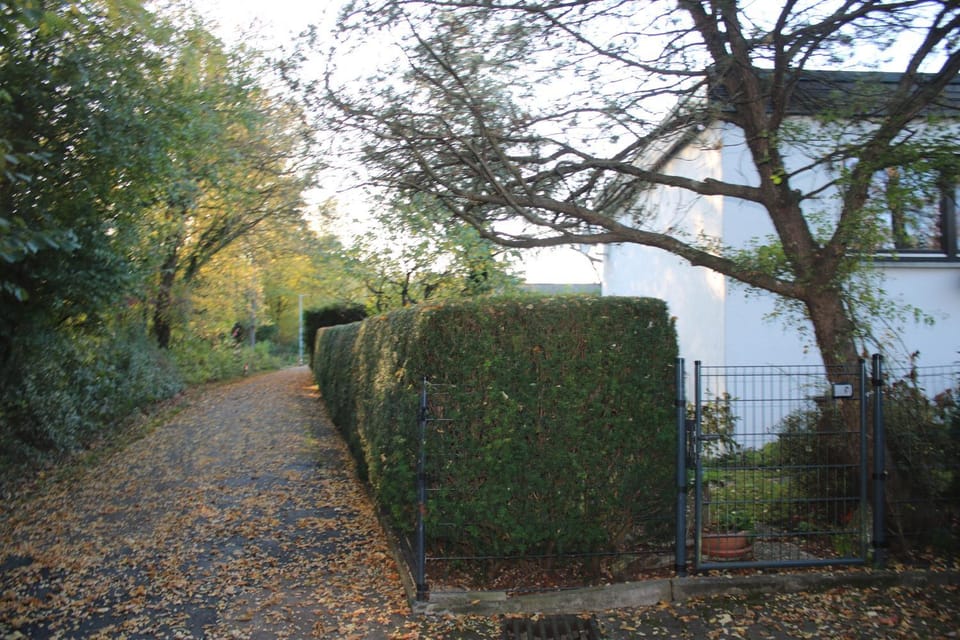 Property building, Garden view