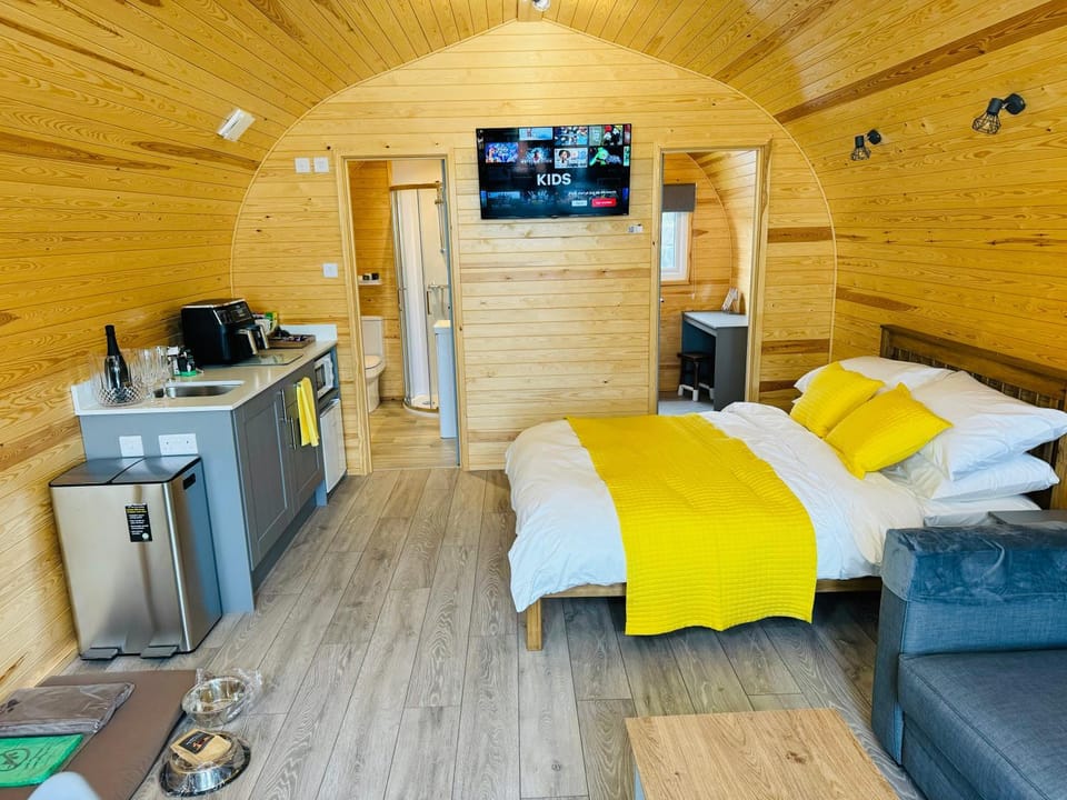 Bed, TV and multimedia, Living room, Bedroom, minibar