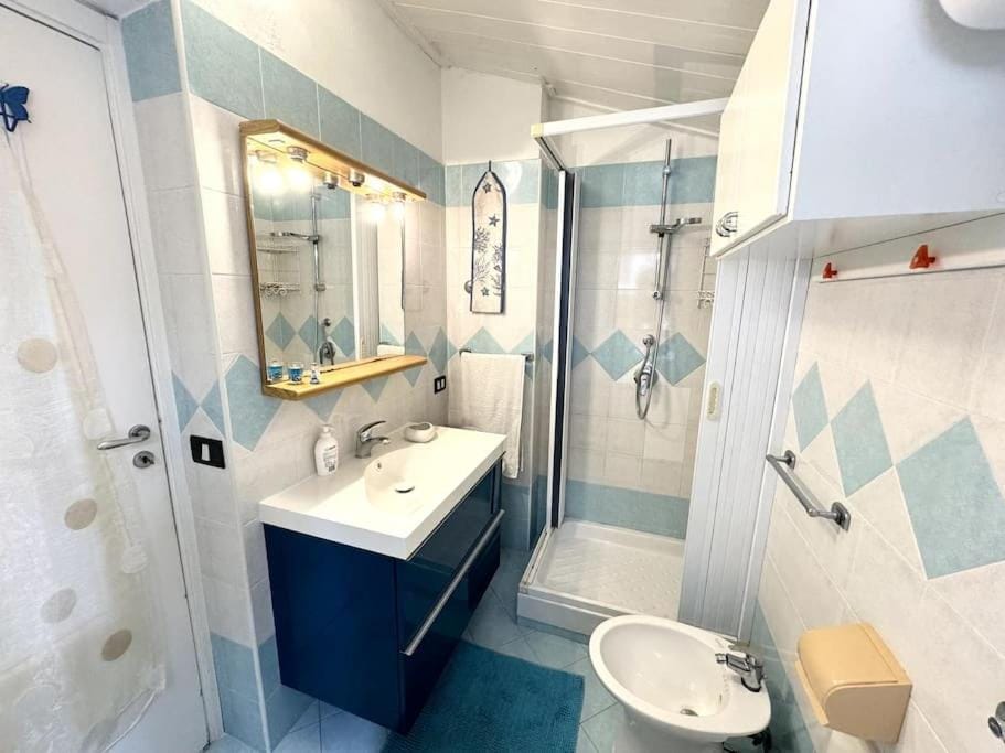 Shower, Bathroom, bidet