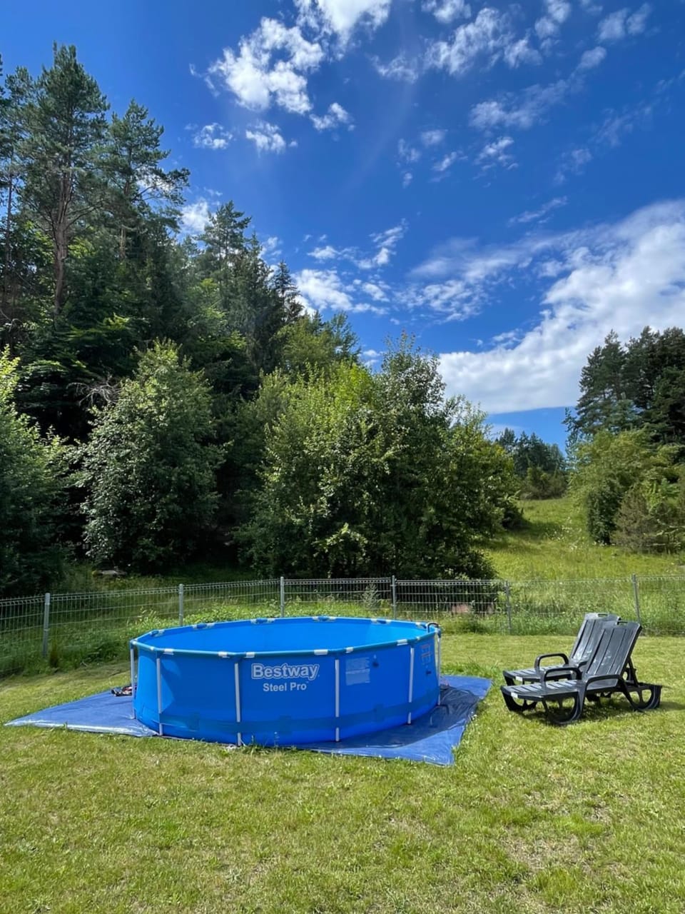 Spring, Natural landscape, Garden, Garden view, Pool view, Swimming pool, sunbed