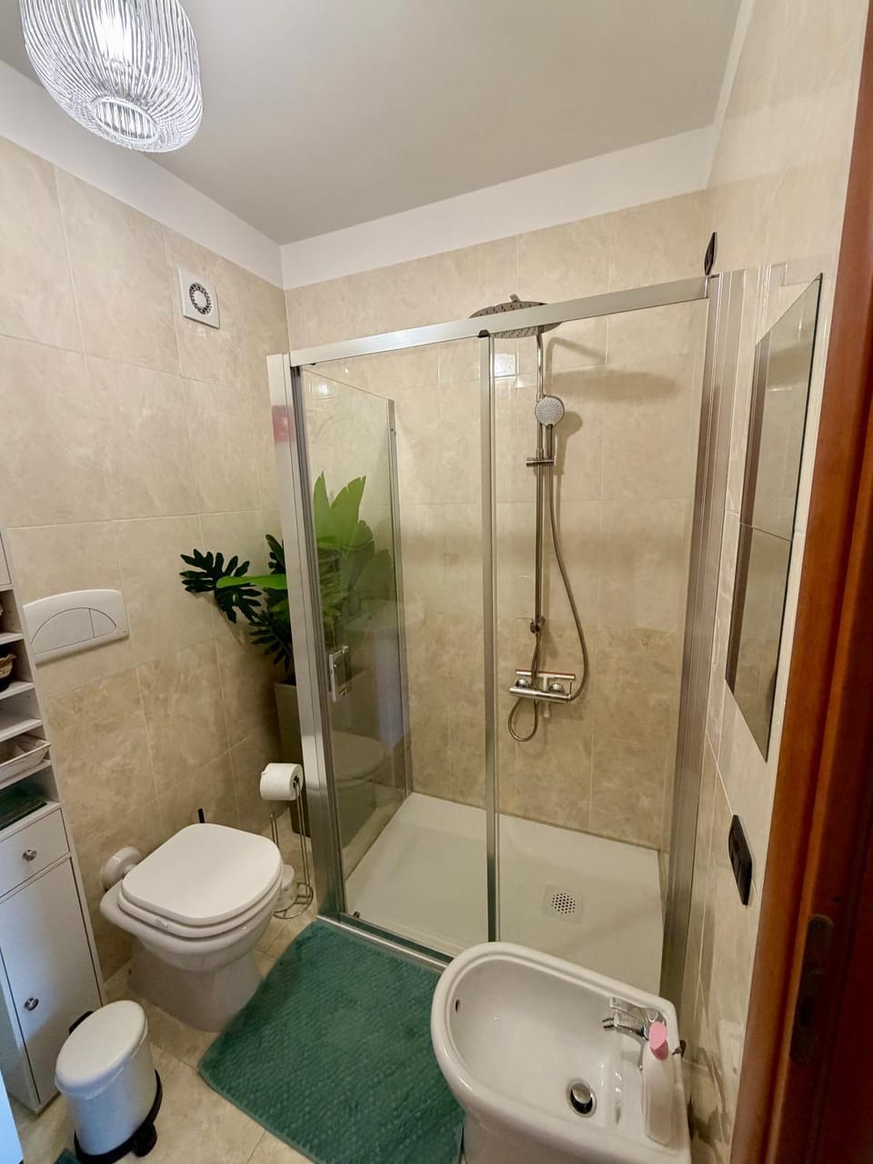 Shower, Toilet, Bathroom, bidet