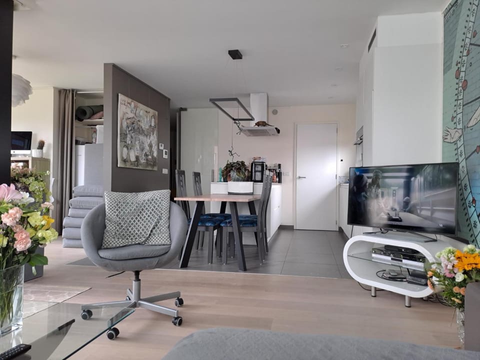 Carlotta Penthouse Apartment in Ghent