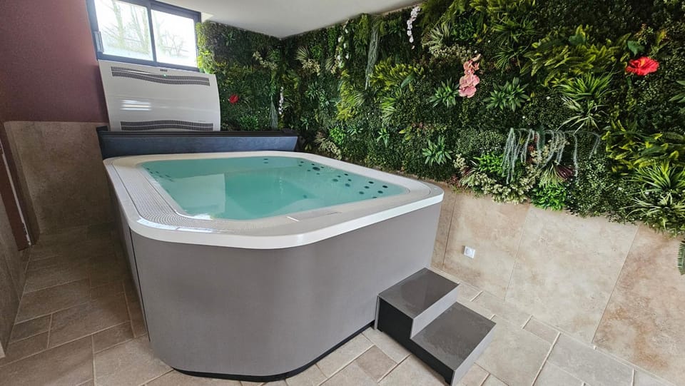Spa and wellness centre/facilities, Spa and wellness centre/facilities
