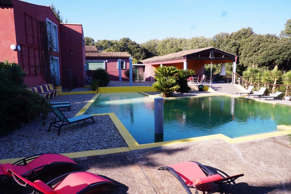 Garden, Pool view, Swimming pool, sunbed