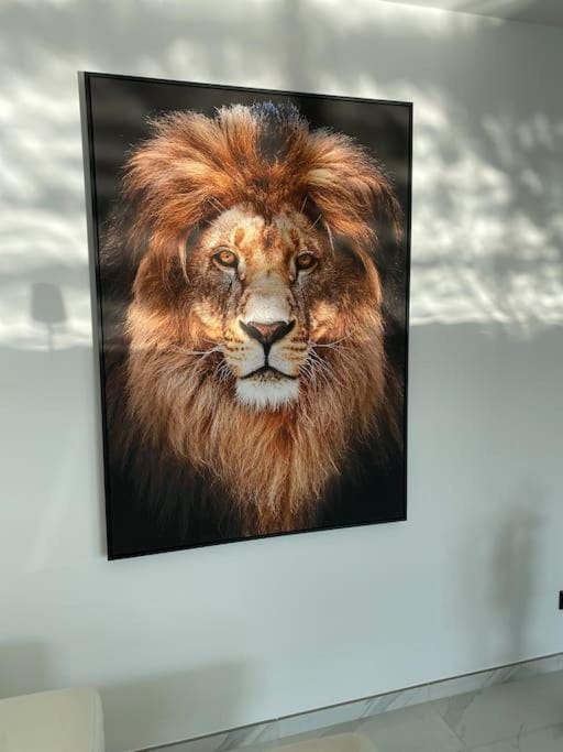 Living room, Decorative detail