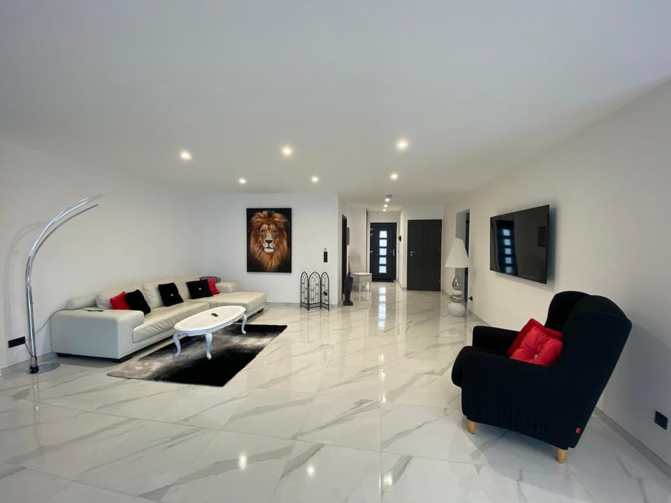 TV and multimedia, Living room, Decorative detail, Seating area, Evening entertainment, pet friendly