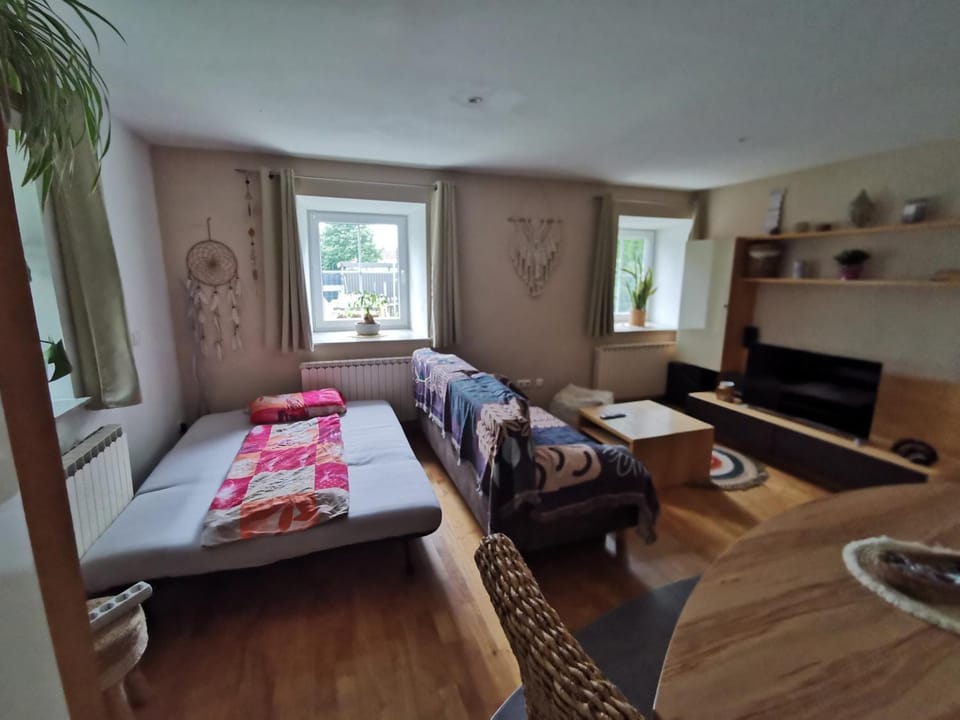 Ferienwohnung in Grünbach bei Freistadt Apartment in Upper Austria
