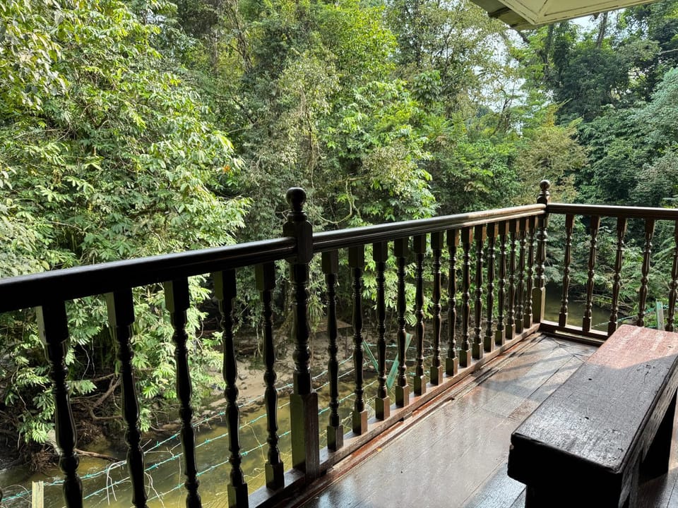 Day, View (from property/room), Balcony/Terrace, River view