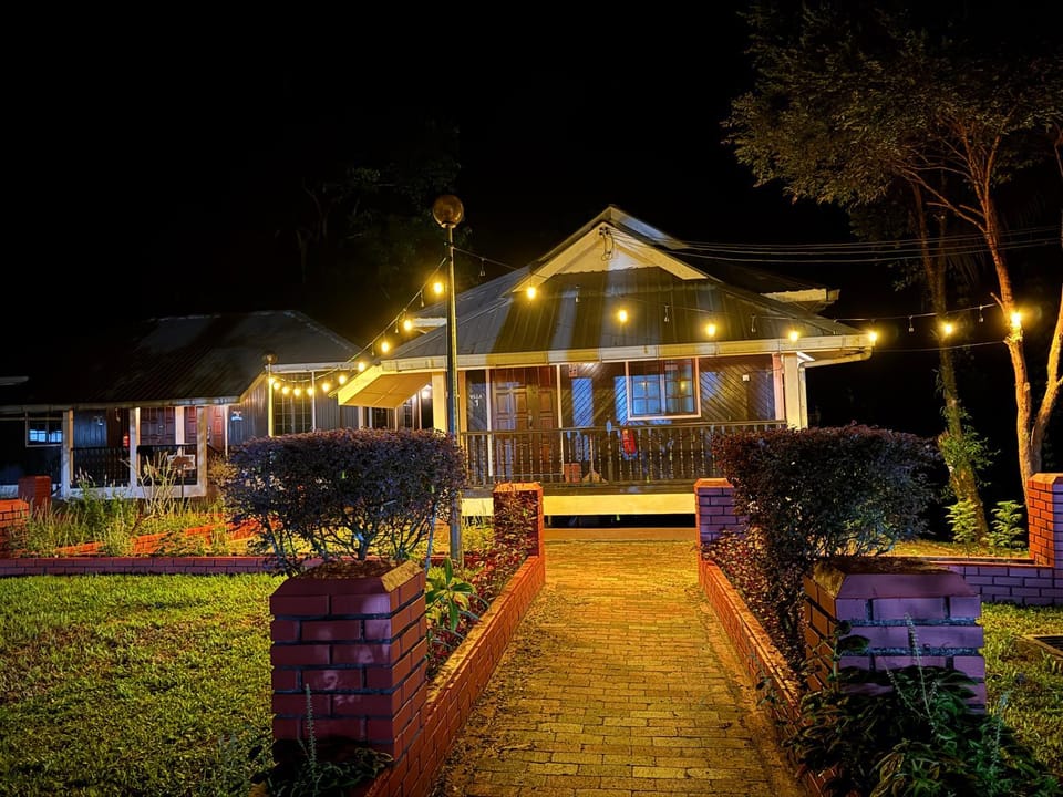 Night, View (from property/room), Garden view