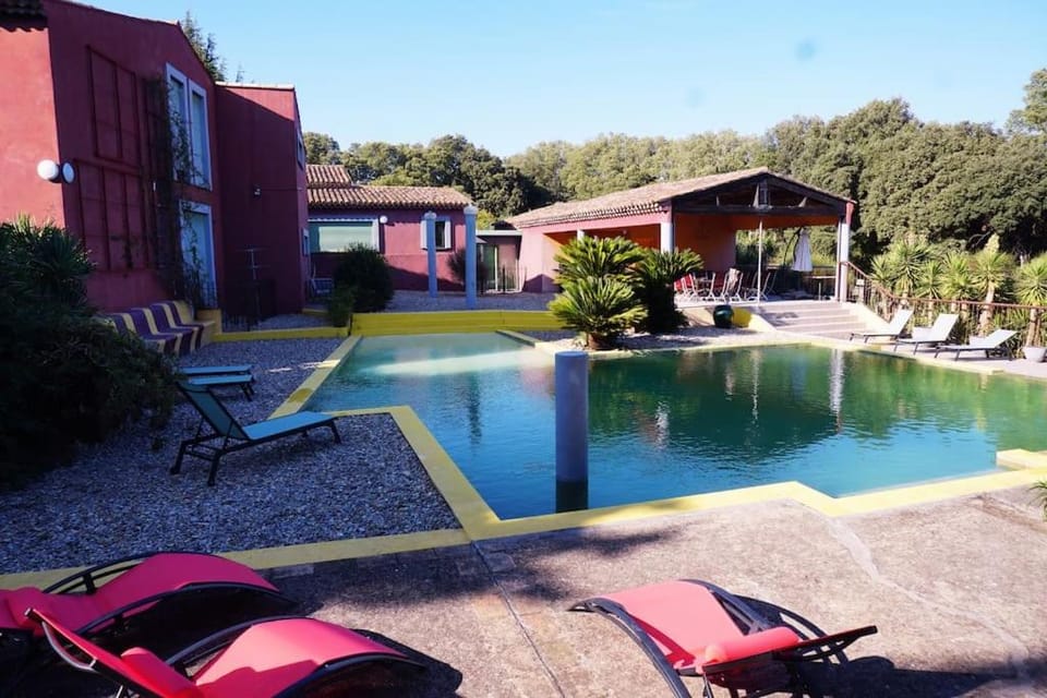 Garden, Garden view, Pool view, Swimming pool, Swimming pool, sunbed