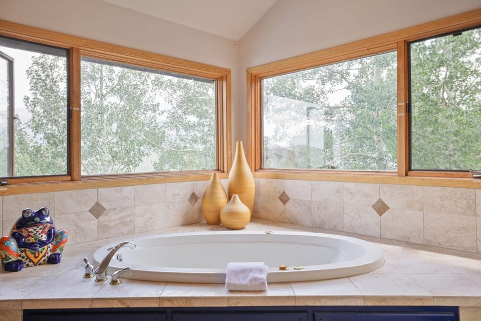 Mountain View Ski Lodge House in Breckenridge